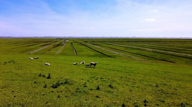 Panoramic view of the natural coastal landscape at the S&uuml;derhafen on the Nordstrand Peninsula in Schleswig-Holstein, northern Germany. 