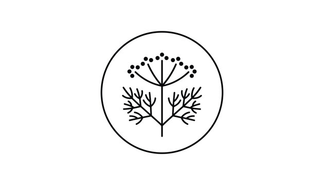 Minimalist outline of a dill seed head and plant leaves structured in a circle, isolated on a white background.