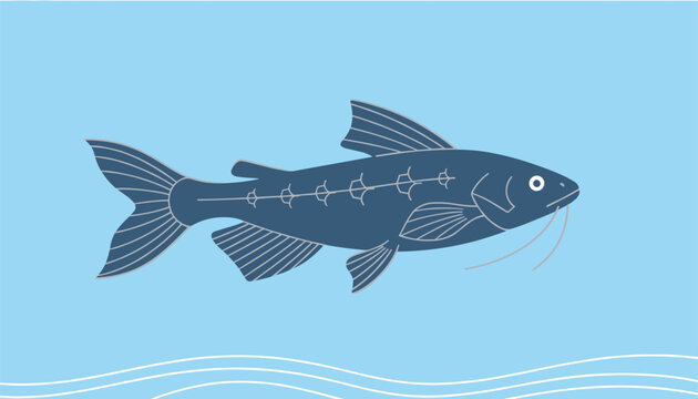 Silhouette of a blue catfish swimming in water with subtle waves shown at the bottom of the vector frame design.