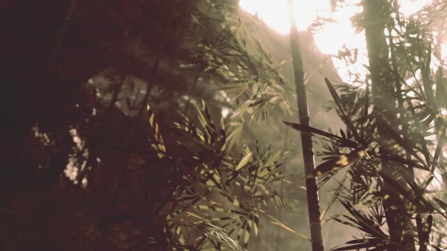 Sunlight filters through the bamboo leaves in a forest. The scene shows green plants and trees around the rays of light, creating a natural environment.