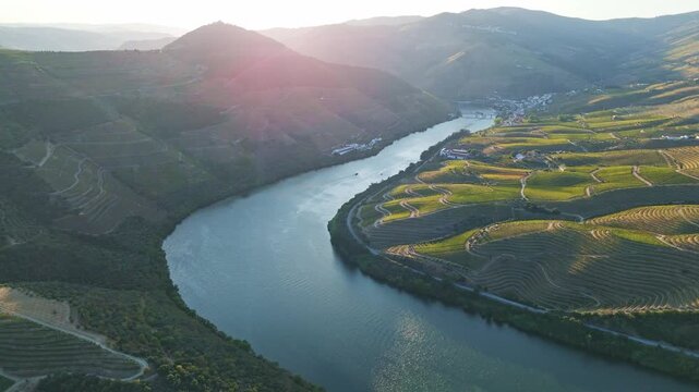 Aerial view of Douro Valley vineyards beside the Douro River in Portugal with sunset light and terraced hills. Slide trucking shot.