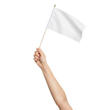 Person hand holding a small blank white flag on a stick isolated on white background