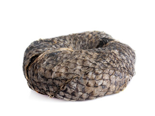 fish skin for pet © cynoclub