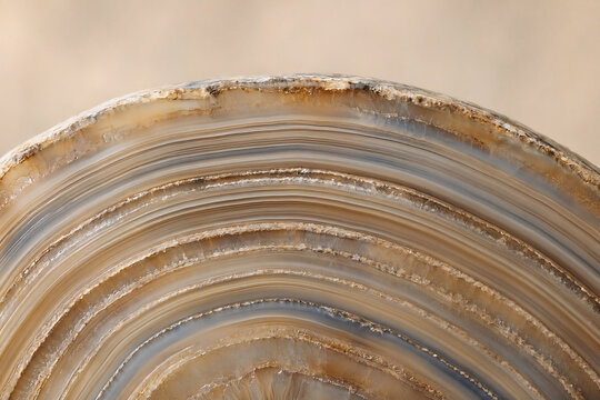 an exposed agate cross-section showing delicate colorful mineral bands and layers