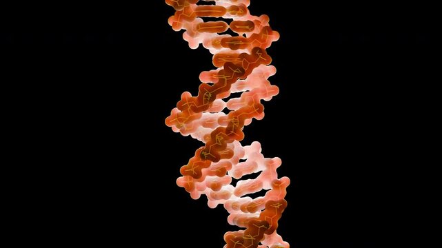 Double stranded DNA,  loopable animation, transparent background.