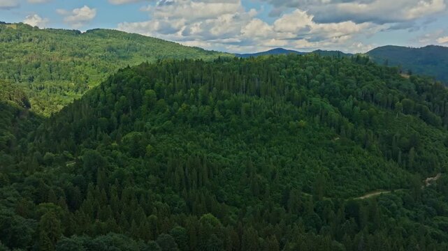 Aerial drone panorama from right to left over lush green forested mountain slopes and a winding road beneath a blue sky with fluffy white clouds. Carpathian Mountains, Ukraine.
