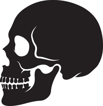 Human skull side profile anatomy skeleton head symbol icon isolated vector illustration graphic design