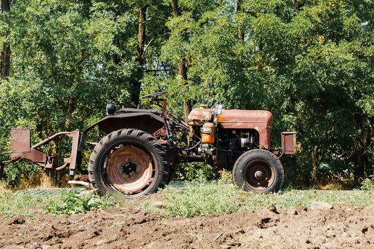 2026.08.20, Russia. Vintage tractor at Malinki Birds Park