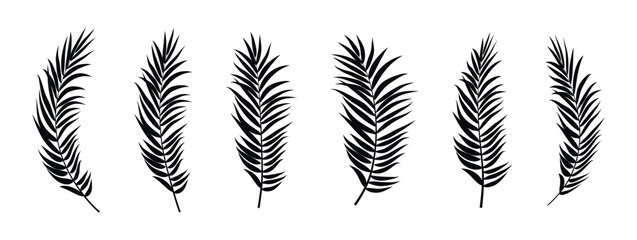 Obraz premium Collection of black palm frond silhouettes on a white background