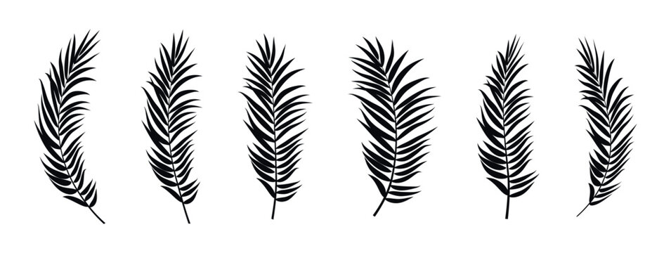 Collection of black palm frond silhouettes on a white background