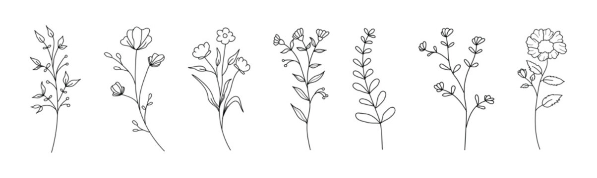 Collection of delicate hand-drawn botanical line art illustrations of wildflowers