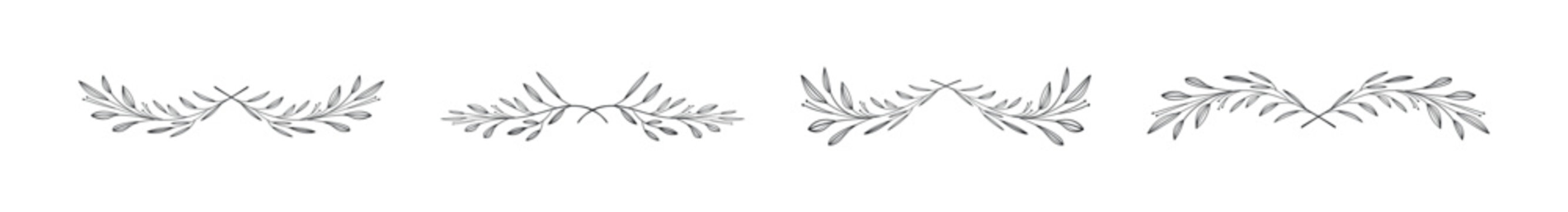 Hand-drawn botanical dividers with delicate leaves and branches for design elements