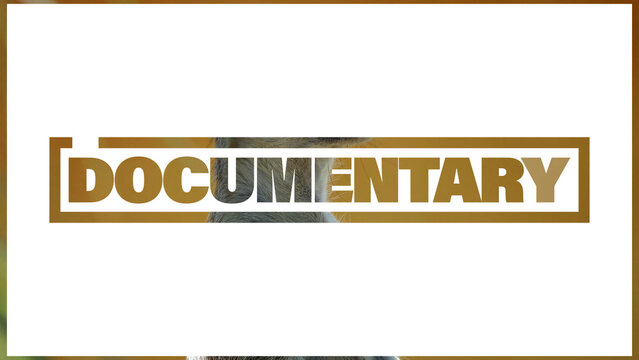 Documentary Slideshow Opener Template | Text & Image Animation