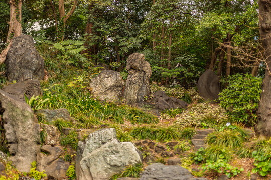 Massive rocks and lush spring foliage on the garden hillside March 2024