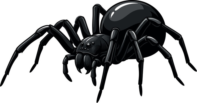 Black Spider Vector Illustration Isolated on White Background Creepy Crawly Insect Graphic Element for Halloween Spooky Designs and Tattoos