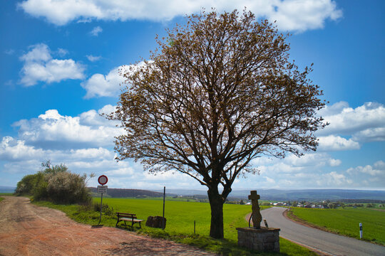 Wayside shrine Cross and Tree by a Country Road