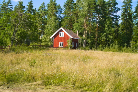 Swedish Red Wooden House by Tall Summer Meadow and Forest