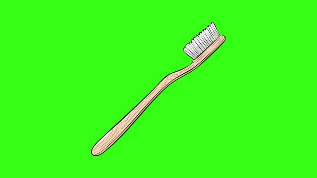Wooden bamboo toothbrush vector illustration isolated on green screen background