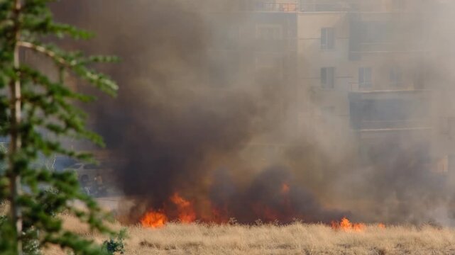 Flames and Smoke Rising from Burning Shrubland. Wildfire Burning Through Dry Bushes and Vegetation. Close Up of Flames Burning Through Dry Shrubs.