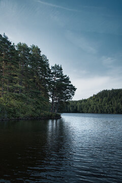 Idyll at the Forested Lake Shore in Scandinavian Nature