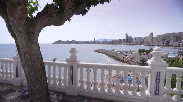 View of coastline and Cala del Mal Pas sandy beach from old town Benidorm, Benidorm, Alicante Province, Costa Blanca, Spain