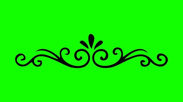 Floral flourish divider ornament animation on green screen background, decorative scroll line motion graphic
