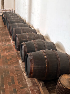 Row of historic wooden barrels in a medieval cellar