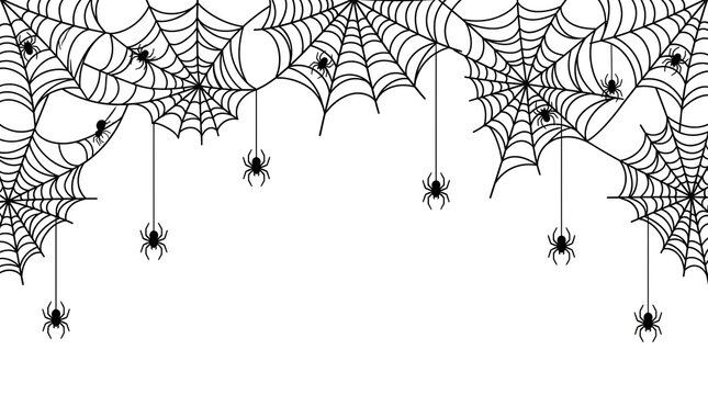 Spooky spider web border with hanging spiders, black cobweb frame on white background, Halloween decorative element