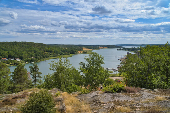 Panoramic View of a Scandinavian Fjord and Forested Hills