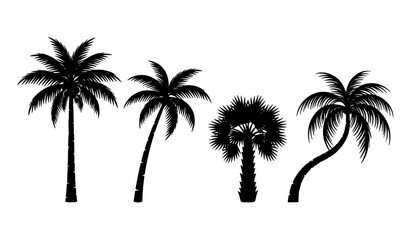 Four tropical palm tree black silhouette vector set for summer beach vacation travel holiday and exotic nature design themes © mstfarida