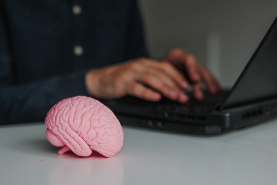 Pink brain beside a laptop, symbolizing the search for talented professionals, smart employees, valuable personnel and successful recruitment in the modern workplace.