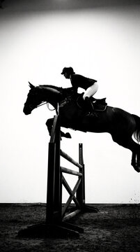 Equestrian rider jumping horse over obstacle in competition arena