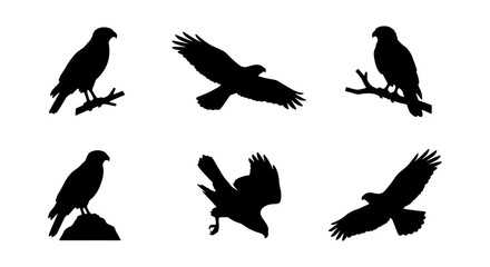 Fototapeta premium Silhouette Eagle Icons, Bird of Prey Vector Set, Majestic Raptor Graphics, Wildlife Silhouette Collection, Avian Predator Art