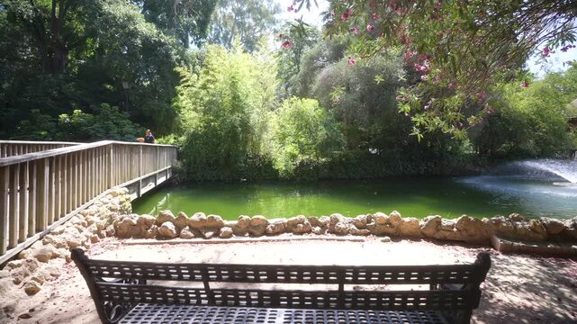View of fountain and pond in Parque de Mari&shy;a Luisa on a sunny day, Seville, Andalusia, Spain