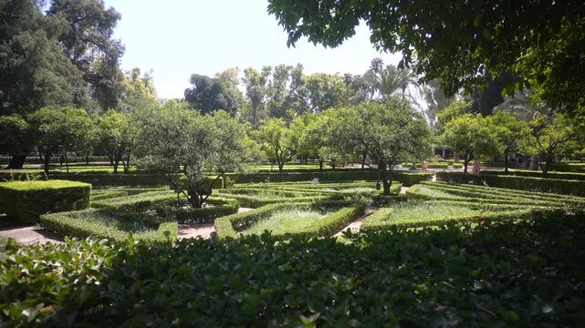 View of trees and shaded walks in Parque de Mari&shy;a Luisa on a sunny day, Seville, Andalusia, Spain