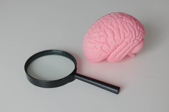 Pink brain and magnifying glass representing neuroscience research, brain examination, cognitive science, neurological studies and the investigation of human brain function.