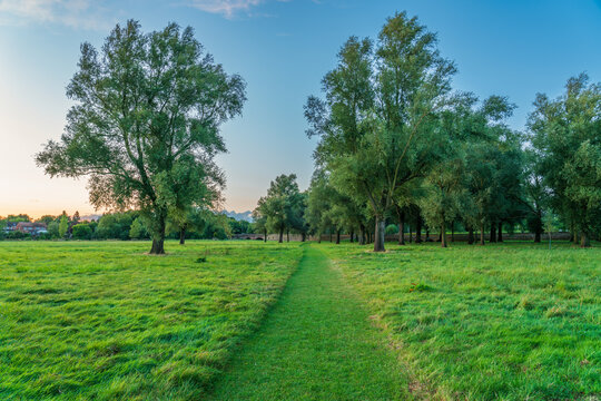 Stony Stratford Nature Reserve at sunrise in England, UK