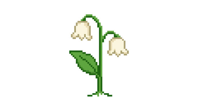 Pixel art lily of the valley herb with two hanging flowers on png background