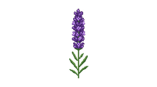 Purple lavender flower pixel art on transparent background for decoration on png background