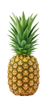 Whole ripe pineapple with green spiky leaves on transparent background