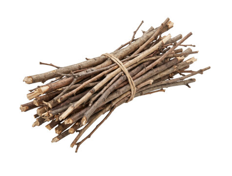 Bundle of dry twigs tied with twine on transparent background