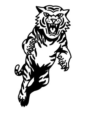Fierce roaring tiger leaping forward, bold black ink line art, powerful wild beast