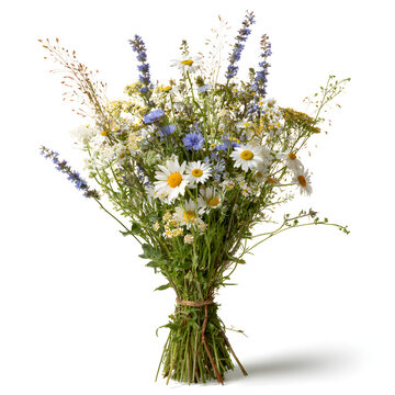 A vibrant bouquet of wildflowers featuring daisies and blue flowers, conveying a joyful and fresh aesthetic.