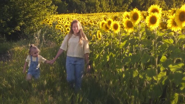 A mother and her young daughter walking with a German Shepherd dog through a vibrant sunflower field on a bright, sunny day in Ukraine.