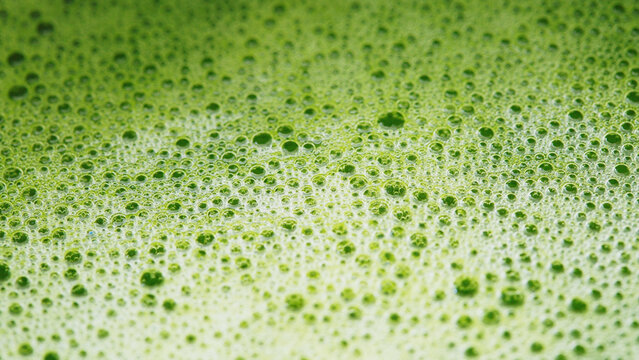 Green bubble texture close up background