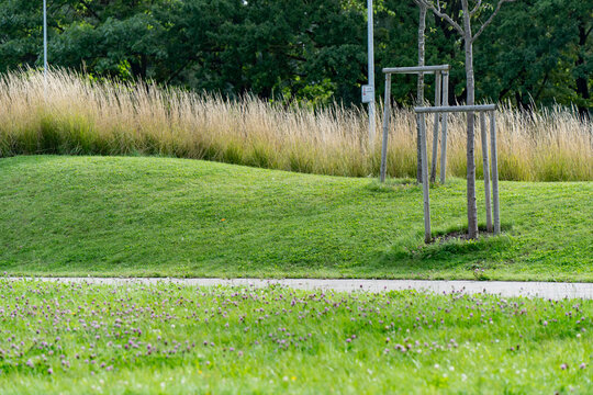Newly laid park land in its first seasons, with staked saplings and drifts of meadow grass that will take a decade to deliver the shade they were planted for.