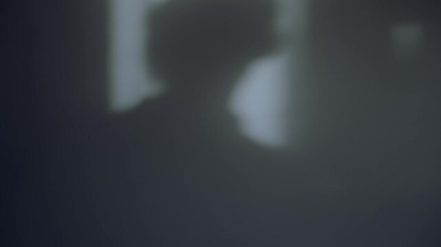 Scary shadow of person on a wall at night looking into house or office. Mysterious man spying and standing by entrance as moonlight shining into room from outside creating silhouette in eerie scene