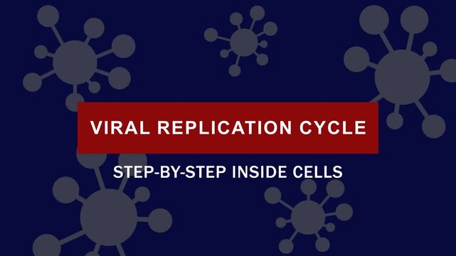Viral replication cycle: step-by-step biological process inside cells animation biology