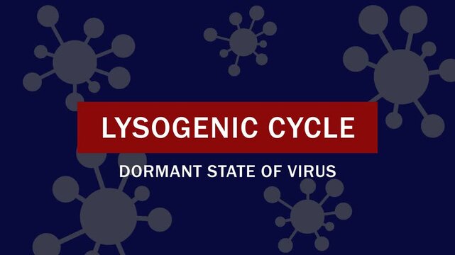 Lysogenic cycle and dormant state of virus: educational medical animation explaining viral replication and infection mechanisms