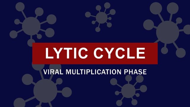 Lytic cycle and viral multiplication phase educational animation for microbiology and virology research